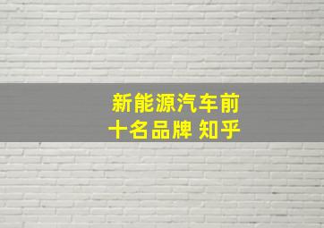 新能源汽车前十名品牌 知乎